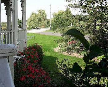 Broecheler Inn Cayuga Exteriör bild